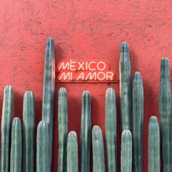 Alina Blaga_travel_guide_mexico_north_america