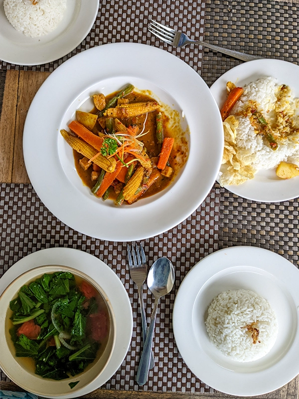 how-to-prepare-balinese-cooking-opor-tempe-tahu