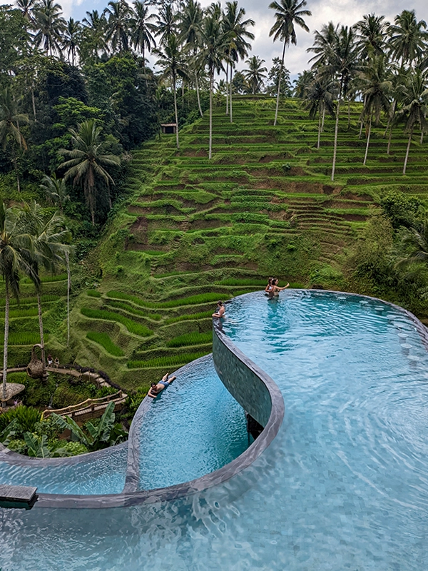 must-see-places-in-bali-alas-harum-and-cretya