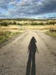 El-Camino-Frances-alinablaga-shadow