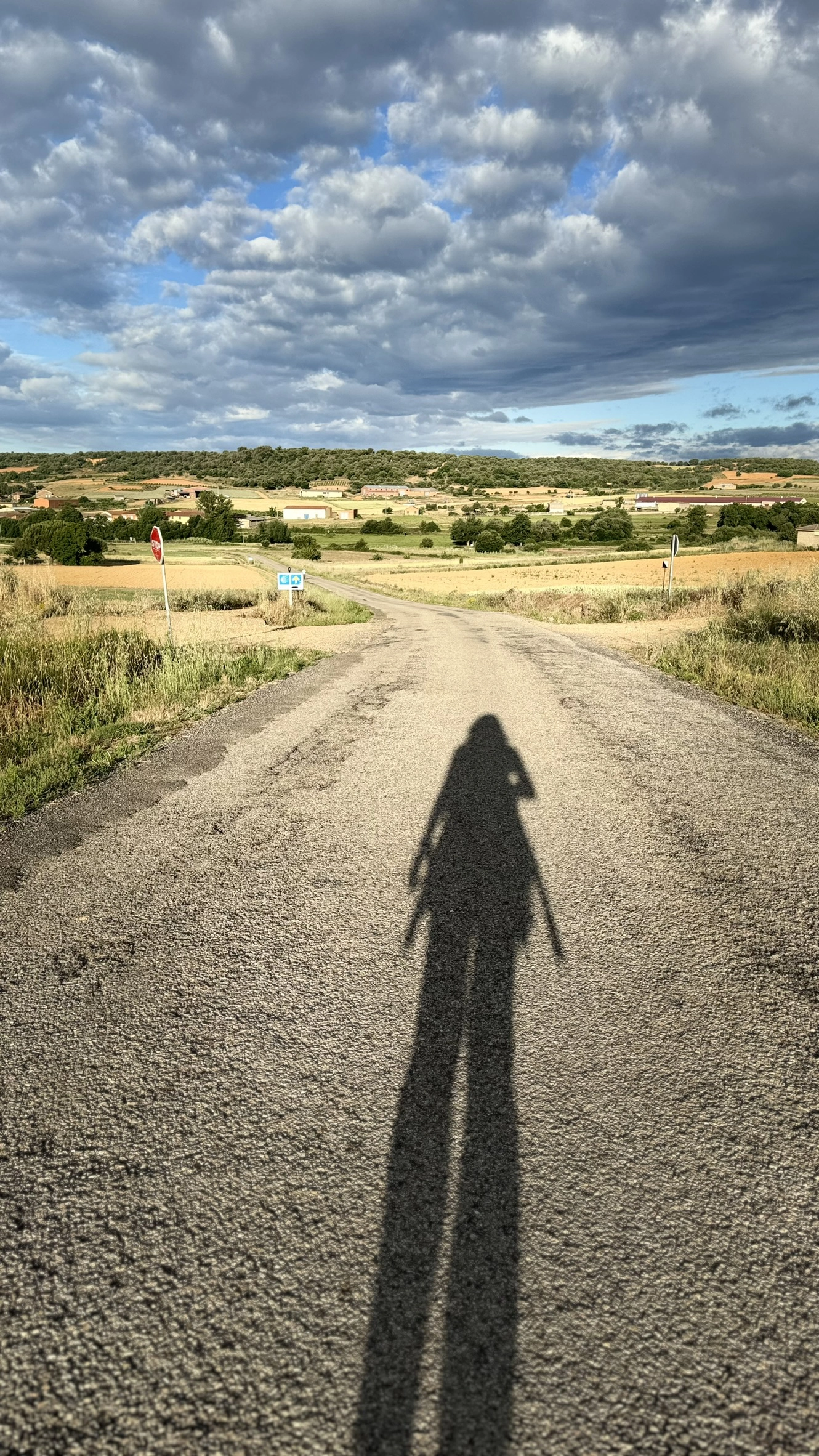 El-Camino-Frances-alinablaga-shadow