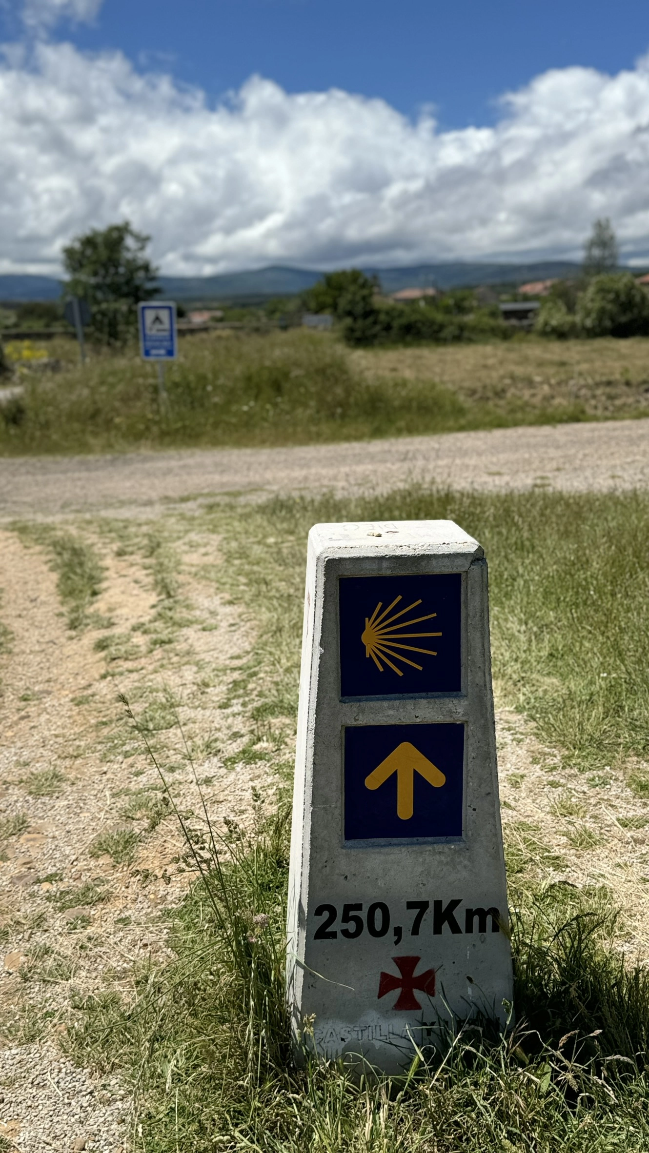 El-Camino-Frances-alinablaga-spain